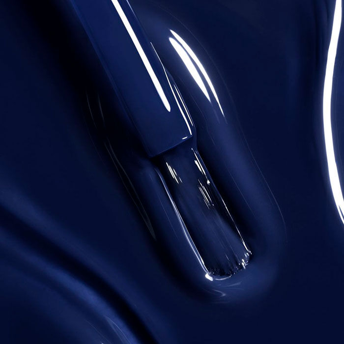 LE VERNIS   1