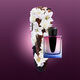 GINZA NIGHT  30ml-219155 1
