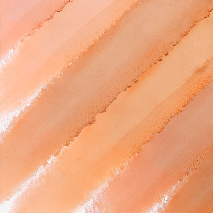 Cellular Performance Total Finish Foundation Recambio   1