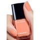 LE VERNIS   3
