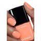 LE VERNIS   2