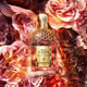 Aqua Allegoria Forte Rosa Palissandro  125ml-214069 2