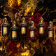Absolus Allegoria Oud Essentiel  125ml-222112 5