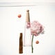 L'EAU D'ISSEY PIVOINE  100ml-209743 2