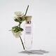 Agua Fresca de Gardenia Musk  120ml-186313 5