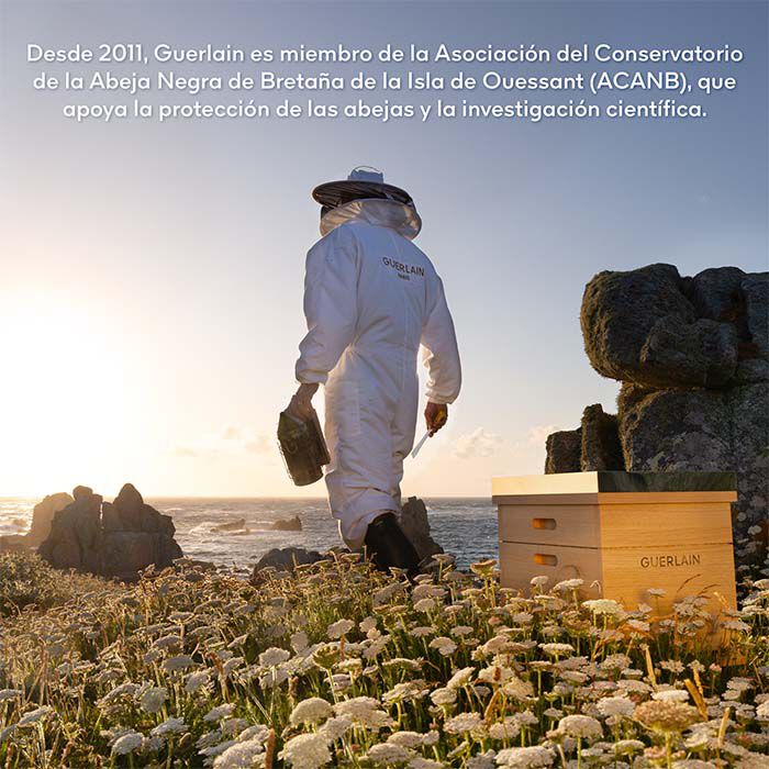 Abeille Royale Tratamiento de Ojos Reparador de Juventud  15ml-234671 8