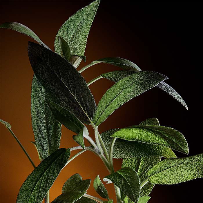 THE ONE For Men EDP  100ml-236108 4