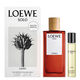 SOLO CEDRO Icono  100ml-197831 1