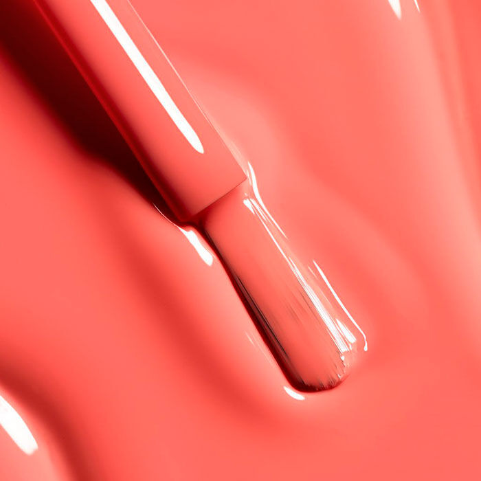 LE VERNIS   1