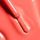 LE VERNIS   1