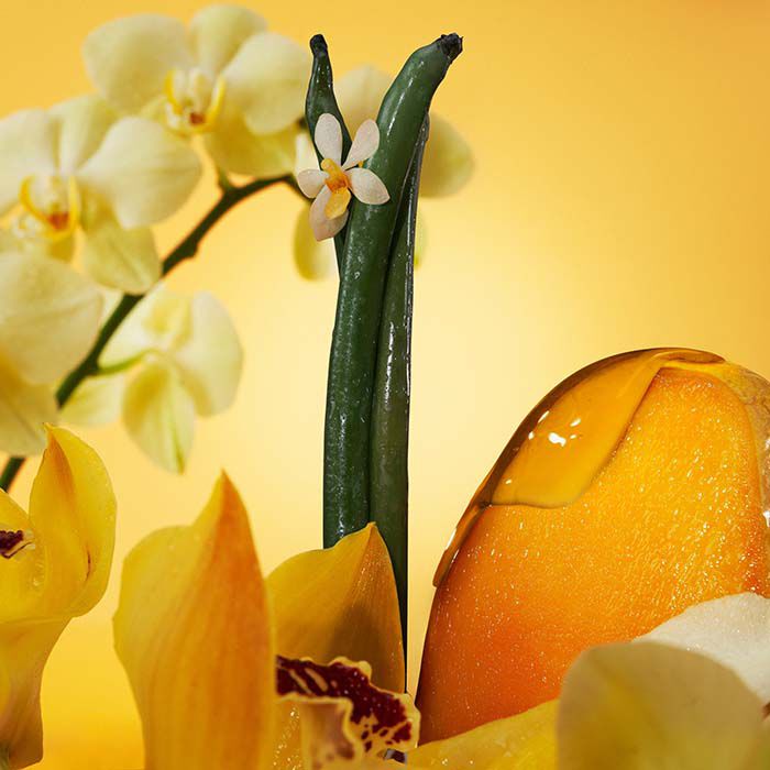 EUPHORIA SOLAR ELIXIR  100ml-235557 2