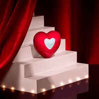 SHOW ME LOVE "Edición Limitada"  100ml 5