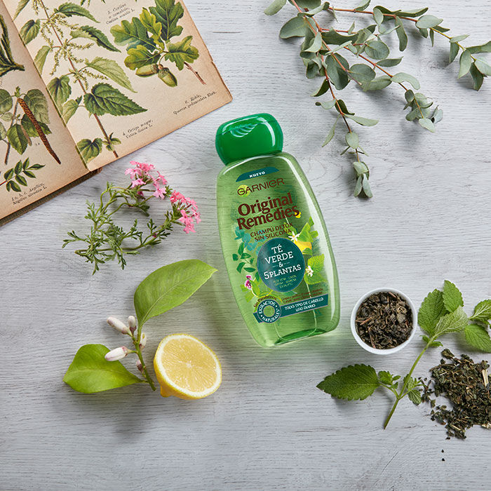 Té Verde & 5 Plantas Champú Detox  300ml-169649 2