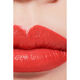 ROUGE ALLURE   2