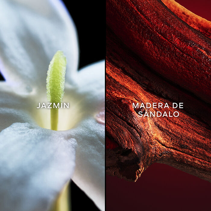 Samsara  75ml-200696 2