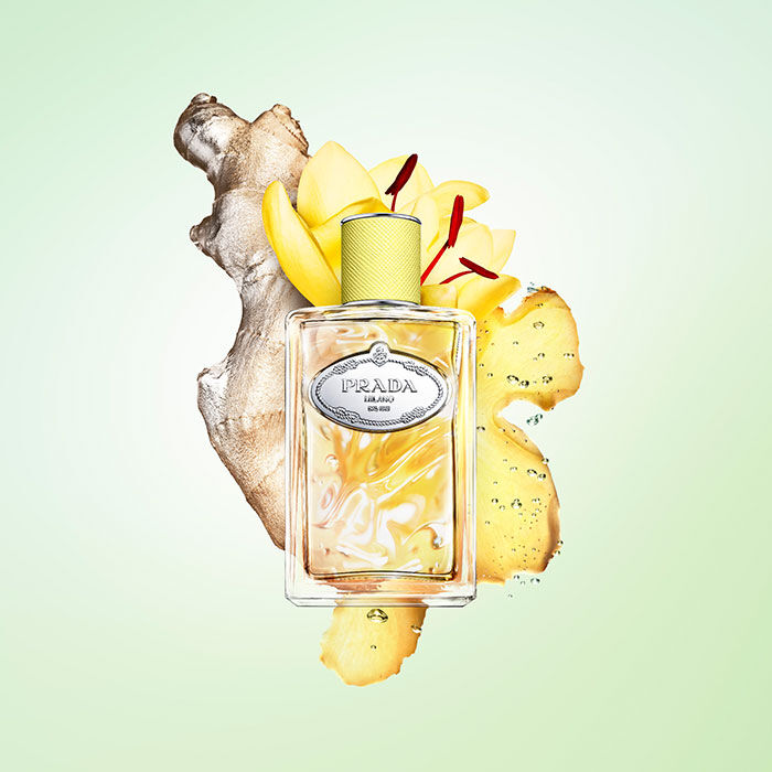 Infusion de Gimgembre  100ml-218057 3