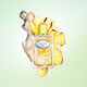 Infusion de Gimgembre  100ml-218057 3