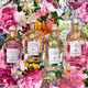 Aqua Allegoria Bergamota Calabria  75ml-204371 6