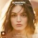 BURBERRY GODDESS AMBER VAINILLA  100ml-240460 4