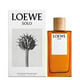 SOLO EDT  150ml-196664 1