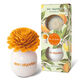 Magic Flower Flor de Azahar  50ml-192079 1