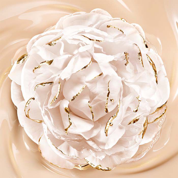 Parure Gold Skin   3