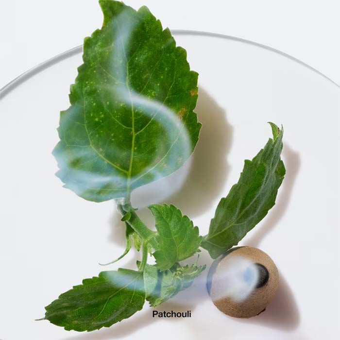 Aromatics Elixir  100ml-53333 3