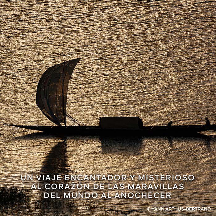 Absolus Allegoria Ambre Samar  125ml-229359 4