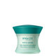 Pâte Grise L'Originale  15ml-215262 0