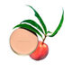 Ever Matte Polvo Compacto   3