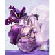Omnia Amethyste  100ml-214359 5