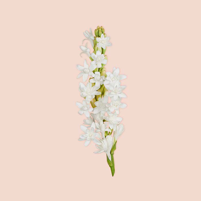 BLOOM PARFUM  100ml-227588 4