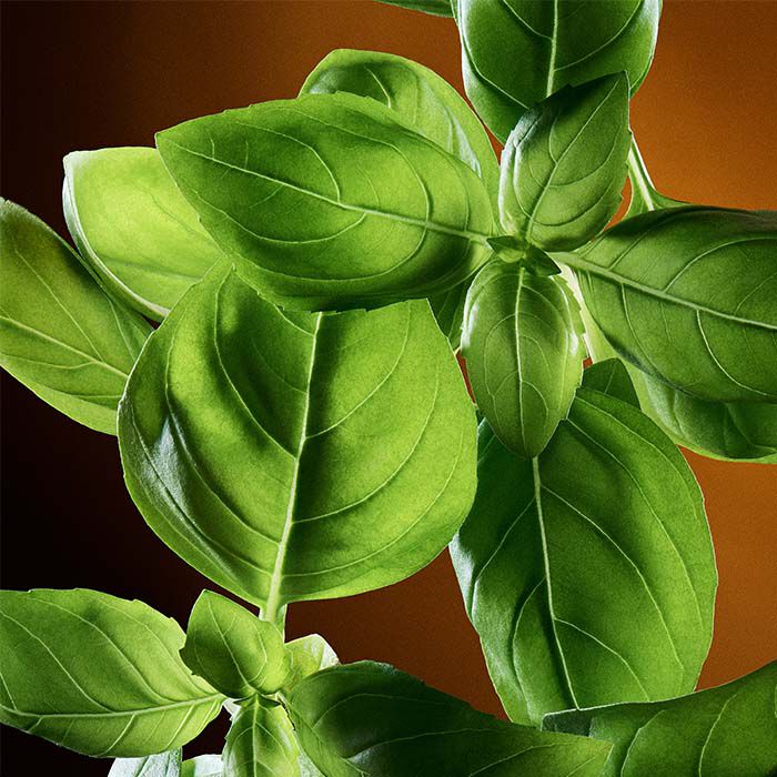 THE ONE For Men  100ml-209940 3