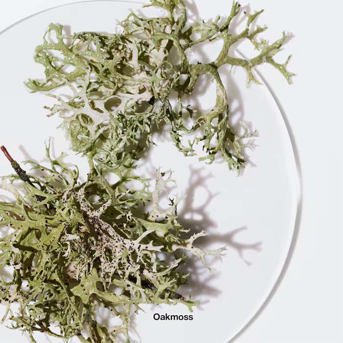 Aromatics Elixir  100ml-53333 4