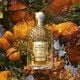 Aqua Allegoria Mandarine Basilic Forte Estuche  75ml-234604 2