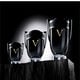 INVICTUS VICTORY  100ml-196866 5