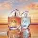 L'EAU AMBR&Eacute;E  100ml-237908 5