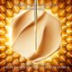 Abeille Royale Tratamiento Honey Bond Treatment Sin Aclarado  150ml-229361 6