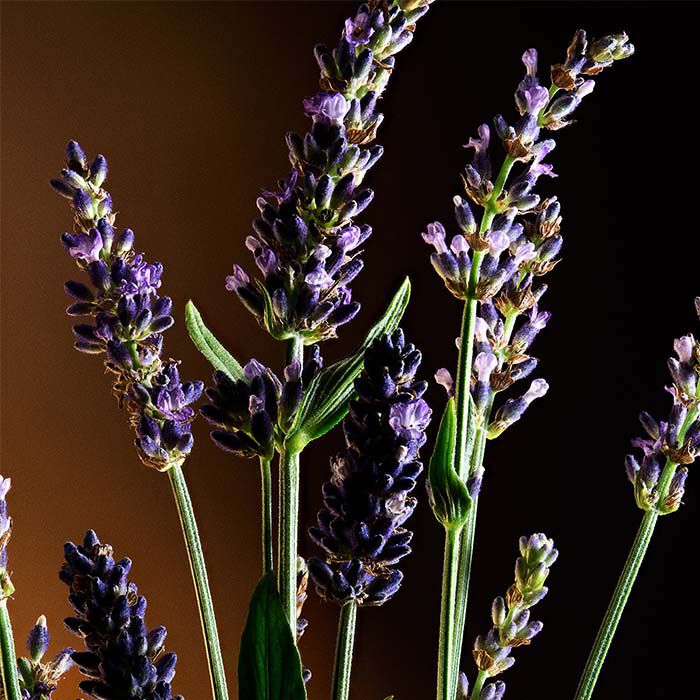 THE ONE For Men  100ml-209940 4