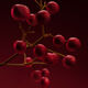 BOSS THE SCENT ELIXIR For Her  30ml-218299 3