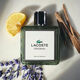 Original  100ml-223331 2