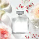 ROMANCE  100ml-62818 2
