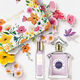 Insolence Estuche  75ml-227677 2