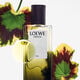 ESENCIA ELIXIR  100ml-214120 3