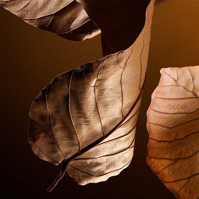 THE ONE Pour Homme Parfum  100ml-233423 5