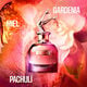 SCANDAL  80ml-201732 2