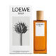 SOLO EDT  50ml-196662 1