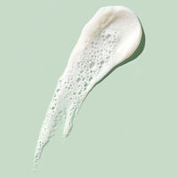 Foaming Cream Cleanser  120ml-211643 1
