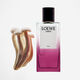 EARTH ELIXIR  50ml-223619 3