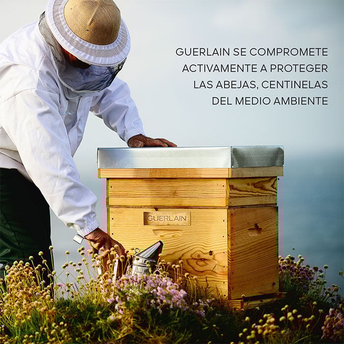 Abeille Royale Aceite en Bálsamo de Juventud Reparación Intensa  80ml-202913 5